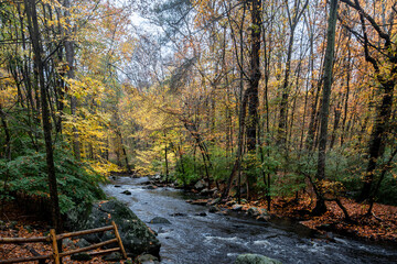 Connecticut Fall Colors