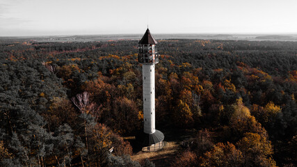 Wieża widokowa w jesiennym europejskim lesie. - obrazy, fototapety, plakaty