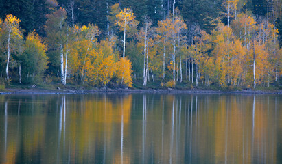 Kolob Autumn