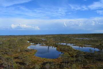 nature Latvia