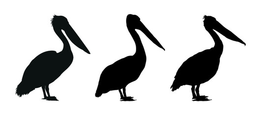 Set of pelican silhouette isolated
