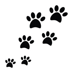 Fototapeta premium Cat paw 