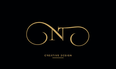Alphabet letters NT or TN logo monogram