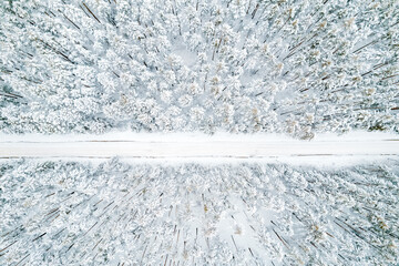 horizontal road in winter snow forest, forest road top view