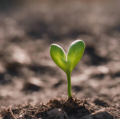 sprout -Generative AI