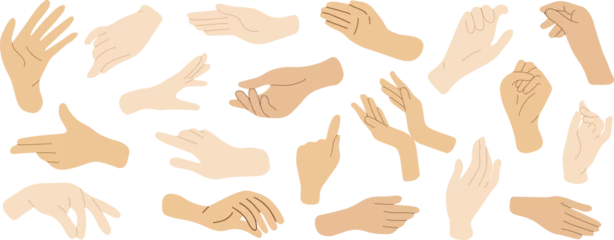 Fotobehang Set of hands in doodle style isolated human hands. Vector different hand positions © Tetiana Komarytska