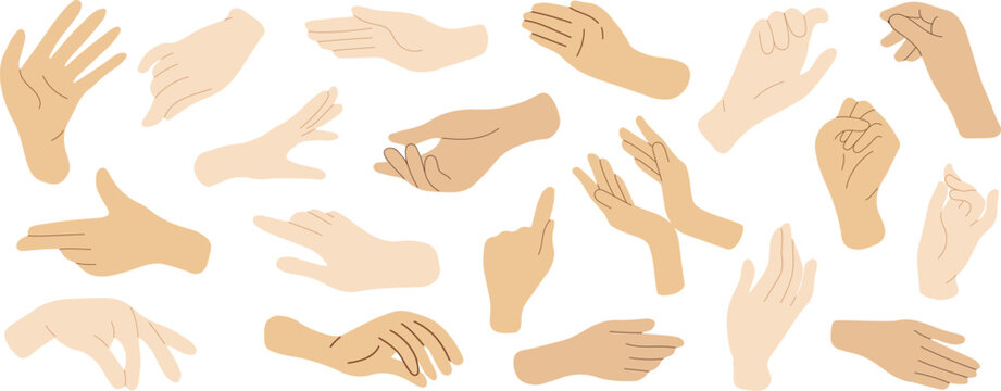 Set of hands in doodle style isolated human hands. Vector different hand positions
