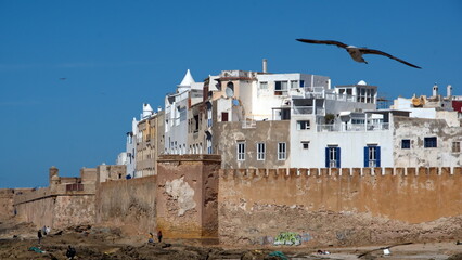 Fototapeta na wymiar Walls of the medina, seen from the harbor in Essaouira, Morocco