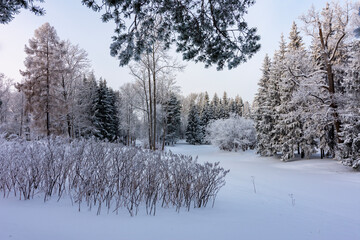 Winter in Catherine park, Tsarskoe Selo (Pushkin), Saint Petersburg, Russia