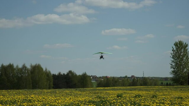 Powered hang gliding lands near blooming dandelion field in clear weather. Amateur tourist recreational flights on light aircraft. Training in trike and monitoring agricultural situation from air.