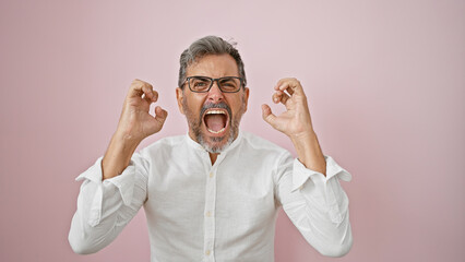 Young, attractive hispanic man, grey-haired and bearded, screaming loud, furious and frustrated over an isolated pink background