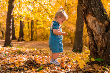 Cute child toddler baby in autumn park, forest with fallen leaves