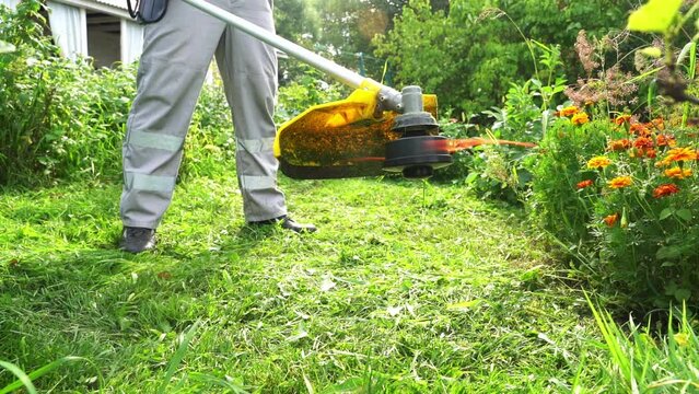 a man mows the grass with a grass trimmer