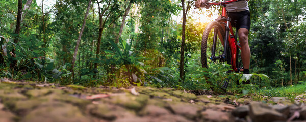 Close-up of Extreme Mountain Biking, Cyclist ride on MTB trails in the Green Forest with Mountain...