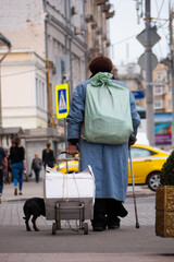 A woman with a back rides with a cart and a dog.