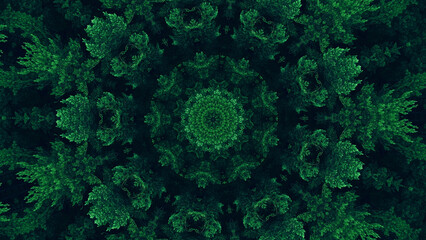 Nature kaleidoscope. Green mandala. Forest foliage texture ethnic round symmetrical fractal ornament on dark black abstract illustration background. - obrazy, fototapety, plakaty