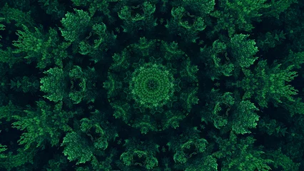 Fotobehang Nature kaleidoscope. Green mandala. Forest foliage texture ethnic round symmetrical fractal ornament on dark black abstract illustration background. © golubovy