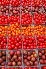 Tomatoes for sale at the weekly Farmers Market, Reston, Virginia, USA.