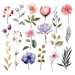 Collection of Watercolor Flowers in Shades of Purple and Pink isolated on transparent background, set of stickers, textile pattern, greeting cards, DIY, collage