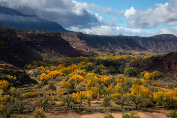 Zion Fall Colors