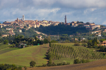 Tuscany's most famous vineyards near town Montalcino in Italy
