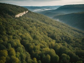 Aerial bird's eye view of a forest of the Dordogne valley in winter, autumn in the mountains, autumn landscape in the mountains, forest in the mountains, landscape with trees, landscape with clouds