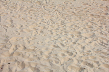 Close image of sand with several footprints marked