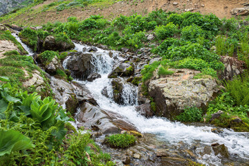 Naklejka na ściany i meble Raging water of a fast mountain river in a picturesque beautiful mountainous area, flowing water with splashes, selective focus