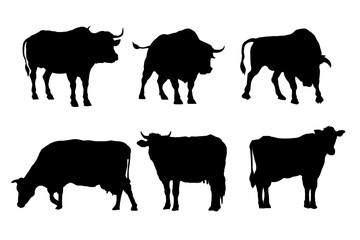 silhouettes of cows