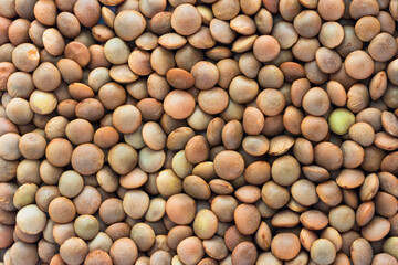 Close-up detail and texture of brown lentils, top view
