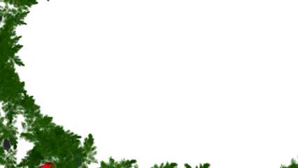  Christmas tree round border with green fir branches, isolated on transparent background. Pine, xmas evergreen plants circle frame. Vector ring string garland decor