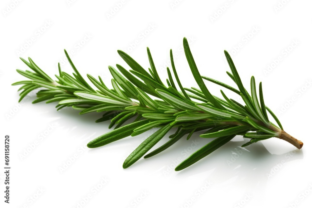 Poster a single sprig of rosemary placed on a clean white surface. perfect for adding a touch of freshness 