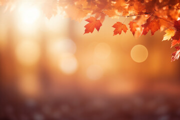 autumn background blurred  with red-gold leaves rays of sunlight