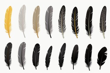 Colorful assortment of feathers displayed on a clean white background. Versatile and suitable for various design projects