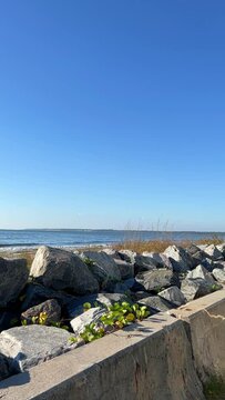 The beach at St. Simons Island, Georgia on a sunny day.