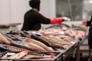 A Fisherman's Bounty: A Man Standing Proudly by a Table Overflowing with Fresh, Colorful Fish