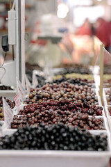 A Colorful Assortment of Fresh, Juicy Berries