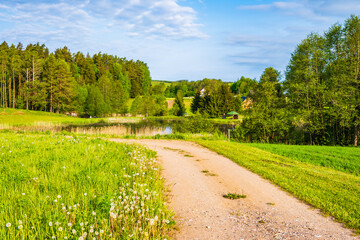 Fototapeta na wymiar Gravel road near Postawele village in spring season , Suwalki Landscape Park, Podlasie, Poland