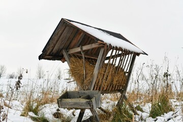 A snowy hay rack in winter. Feeding rack filled with hay and ready for winter feeding of game...