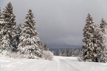 Winter mountain landscape in Western Tatras. Slovakia.