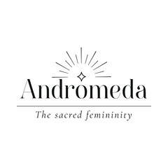 Stellar Star Logo Andromeda Sparkle Concept. Black Option-03