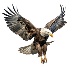 Obraz premium a Bald eagle in-flight, 3/4/side view, isolated and transparent PNG in a Nature-themed, photorealistic illustration. Generative ai
