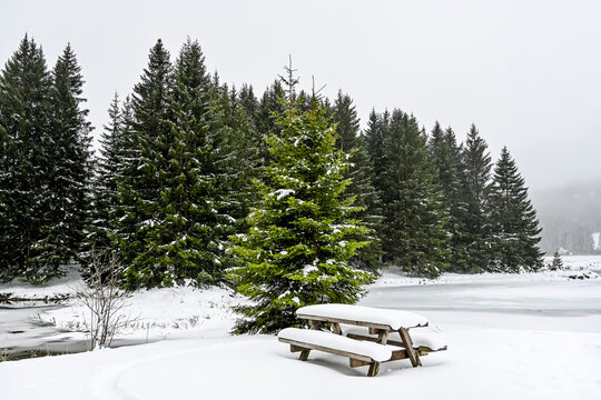 Lenzerheide, Valbella, Heidsee, Bergsee, Uferweg, Wanderweg, Winterwanderung, Holzbank, Winterlandschaft, Seeufer, Alpen, Wald, Tannen, Eis, Winter, Graub&uuml;nden, Schweiz
