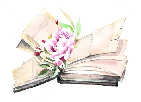 Watercolor hand painted book with flowers illustration isolated on a white background.Books design.Student concept design.
