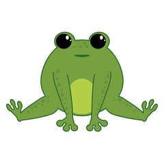 Vector illustration of funny happy green cartoon cute frog isolated on white background
