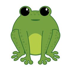 Vector illustration of funny happy green cartoon cute frog isolated on white background