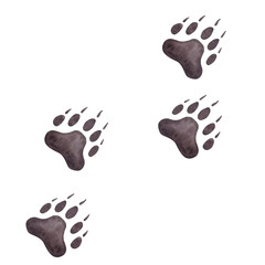 Colored track of bear, grizzly, pandas. Brown paw wild animal footprint. Hand drawn watercolor illustration isolated on white background.