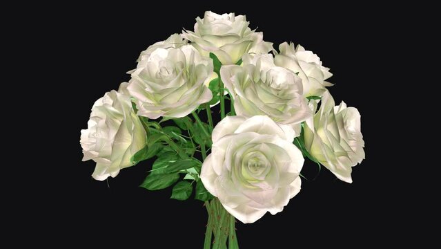 Bouquet of White Rose Flowers - Spinning Loop - MS - Alpha Channel - Artistic realistic 3D animation isolated on transparent background