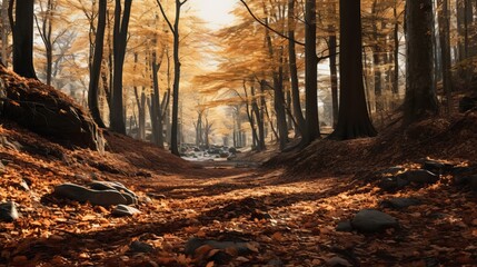 A breathtaking image of a forest that is covered in dried leaves and surrounded by trees during the autumn season