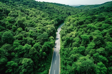 Aerial top view mountain road in dark green forest